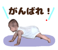 874280981