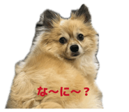 874284281