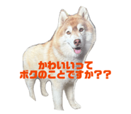 874341993
