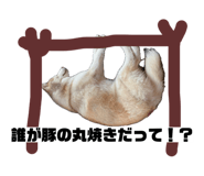 874341995