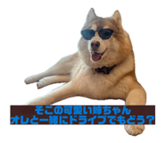874341997