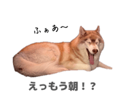 874342000