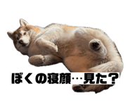 874342001