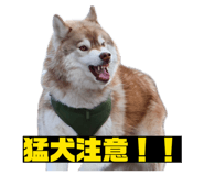 874342002