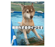 874342005