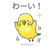 874360223