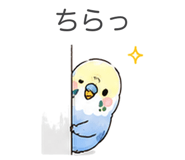 874360243