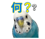 874363015