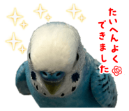 874363024