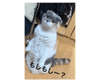 874422540