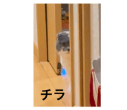 874422546