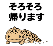 874427533