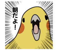 874438025