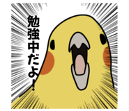 874438030