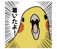 874438036