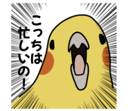 874438051
