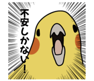 874438053