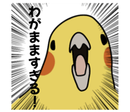 874438055