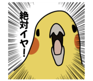 874438056