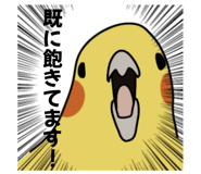 874438061