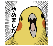 874438062