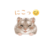 874447655