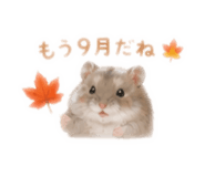 874447662