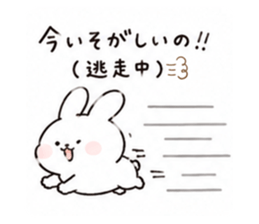 874455256