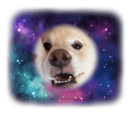 874469001