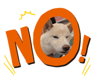 874469004