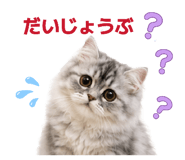 874471640