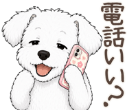 874484602