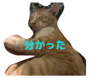 874510863