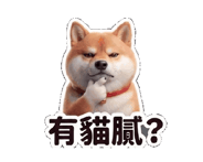 874511395