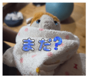 874522860