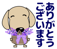 874544419