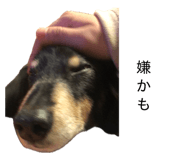 874544927