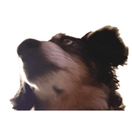874544931