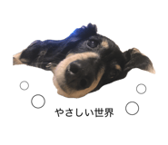 874544934