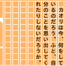 87456025