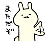 874636392