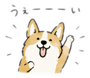 874646755