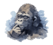 874647906
