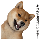 874660178