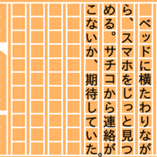 87467119