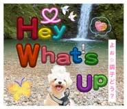 874679154