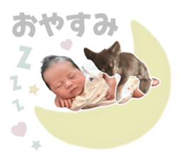 874693331