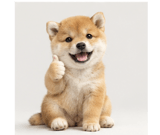 874693365