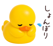 874711498