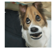 874729976